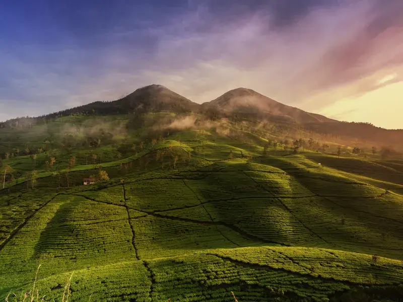 Green highland slopes below two volcanic peaks at sunrise